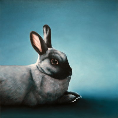 Annette von der Bey, rabbit lying on blue