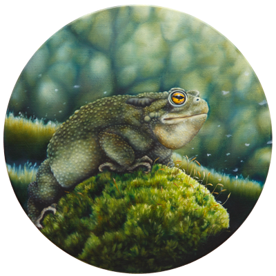 Annette von der Bey, fat toad