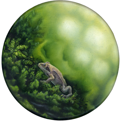 Annette von der Bey, Frosch