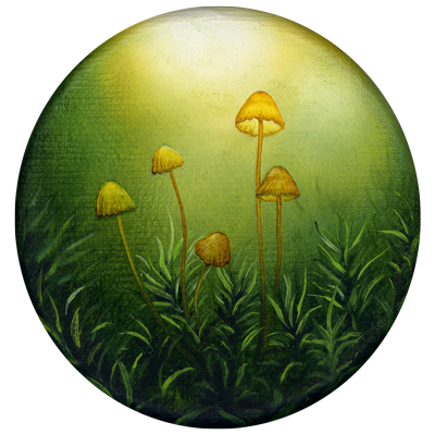 Annette von der Bey, mushrooms