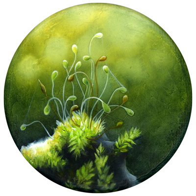 Annette von der Bey, moss