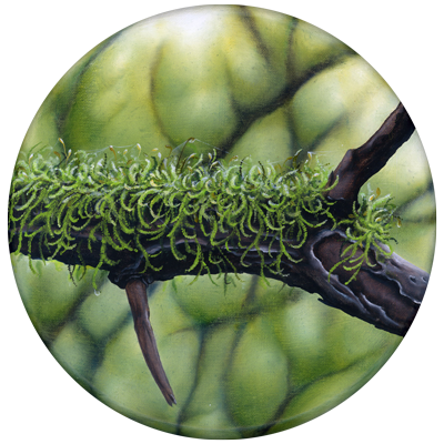 Annette von der Bey, moss